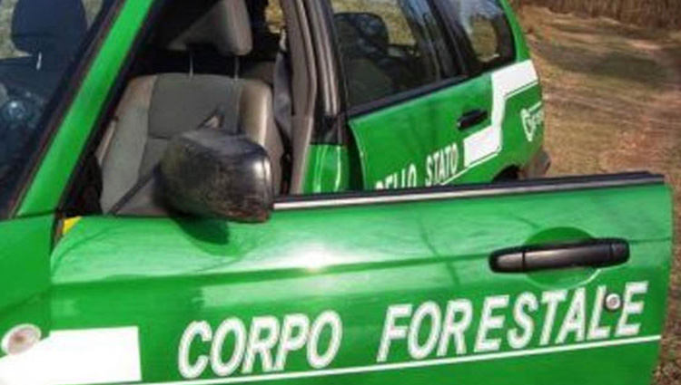 Corpo Forestale: Integrazione fallita con l’Arma