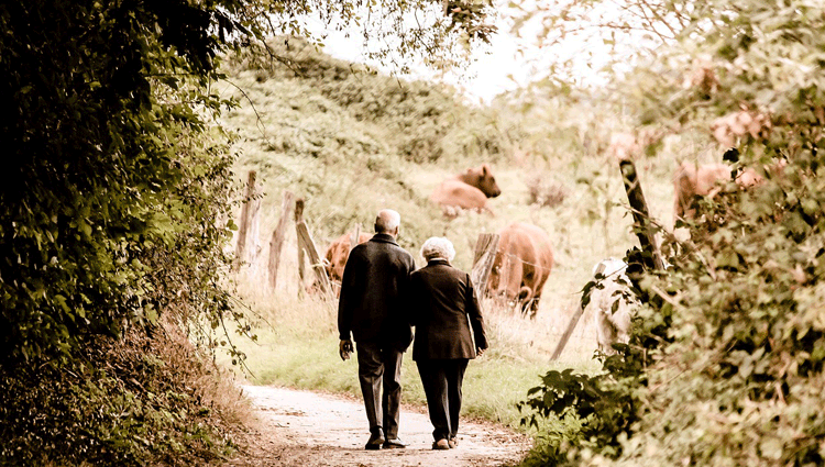 Pensionati in Campagna